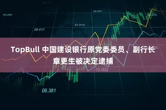 TopBull 中国建设银行原党委委员、副行长章更生被决定逮捕