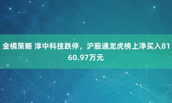 金橘策略 淳中科技跌停，沪股通龙虎榜上净买入8160.97万元